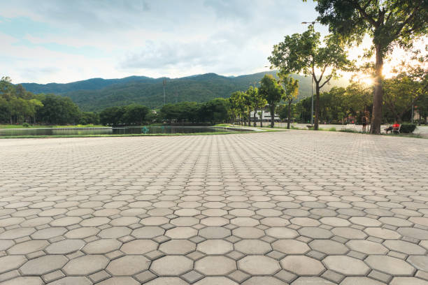 Best Custom Driveway Pavers  in Energy, IL
